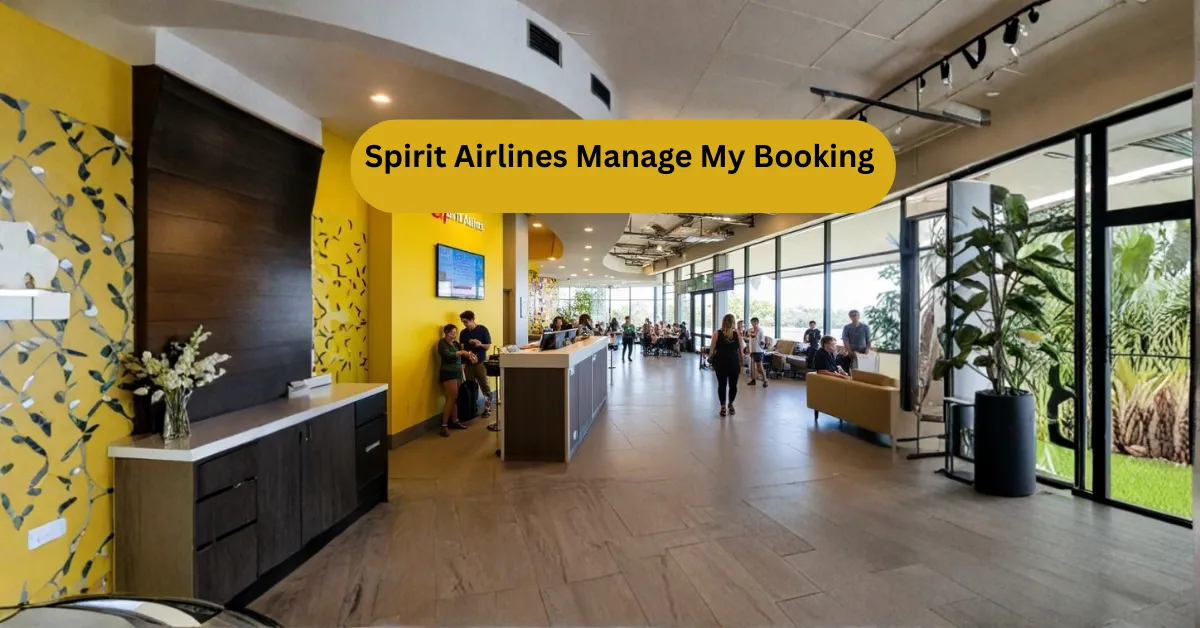 Spirit Airlines Manage My Booking