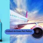 United Airlines Pet Policy