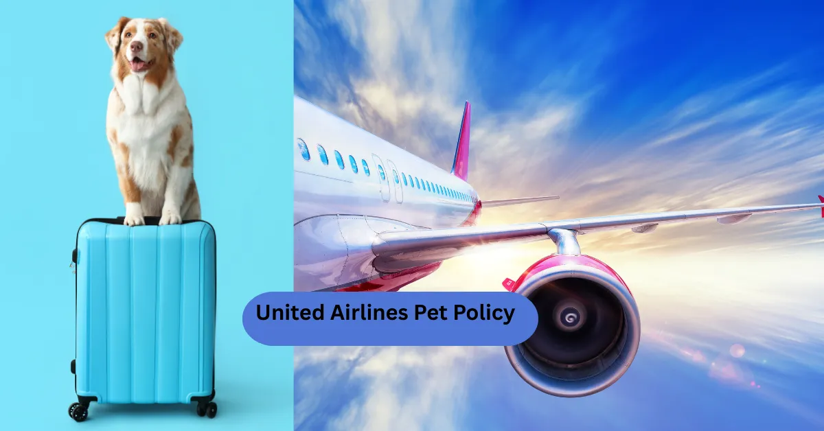 United Airlines Pet Policy