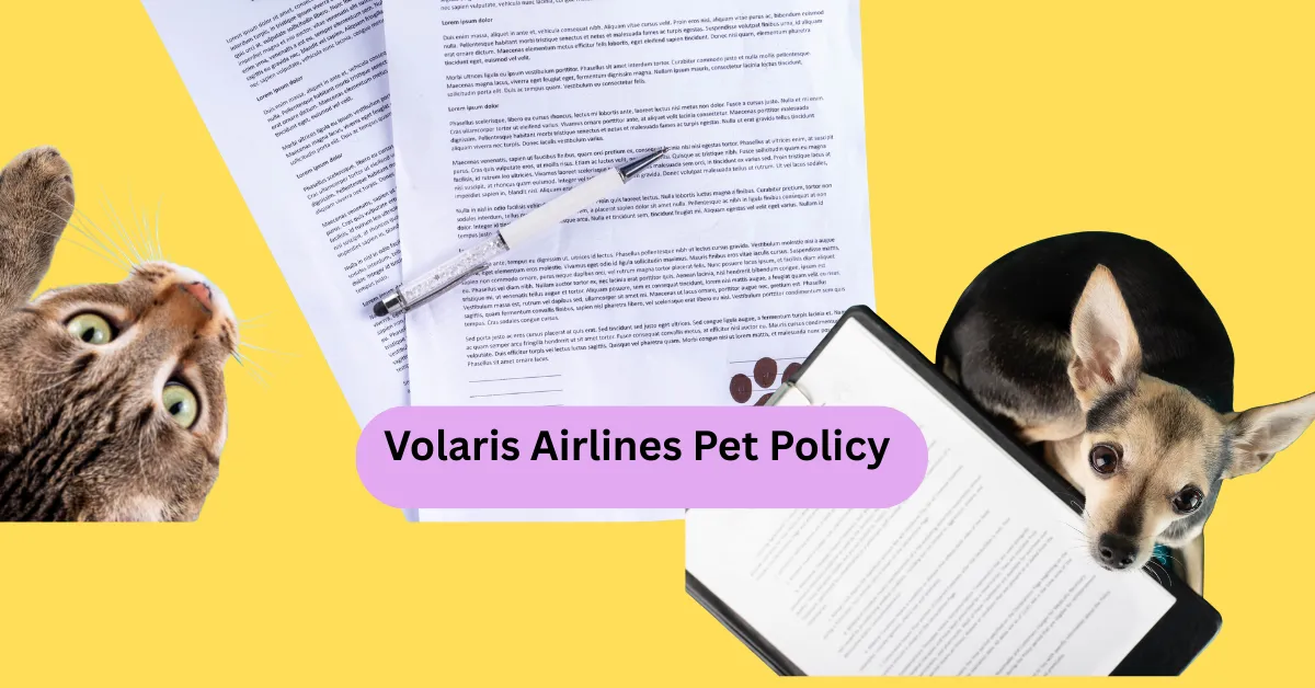 Volaris Airlines Pet Policy