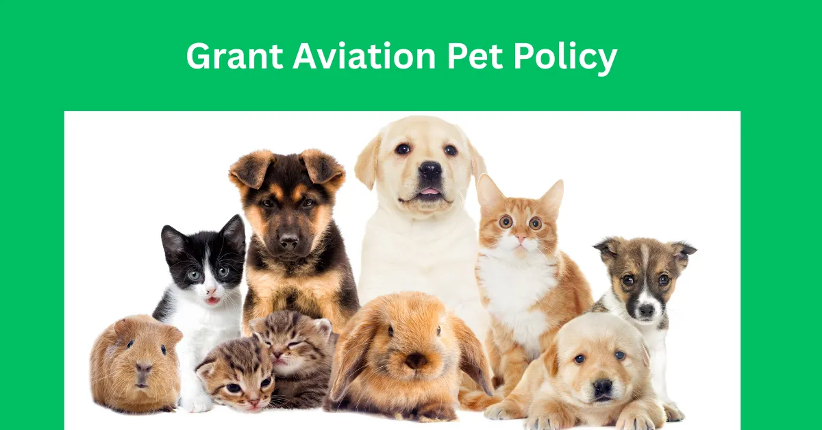 Grant Aviation Pet Policy