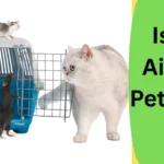 Island Airways Pet Policy