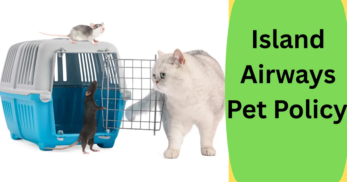 Island Airways Pet Policy