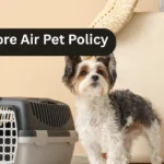 Kenmore Air Pet Policy
