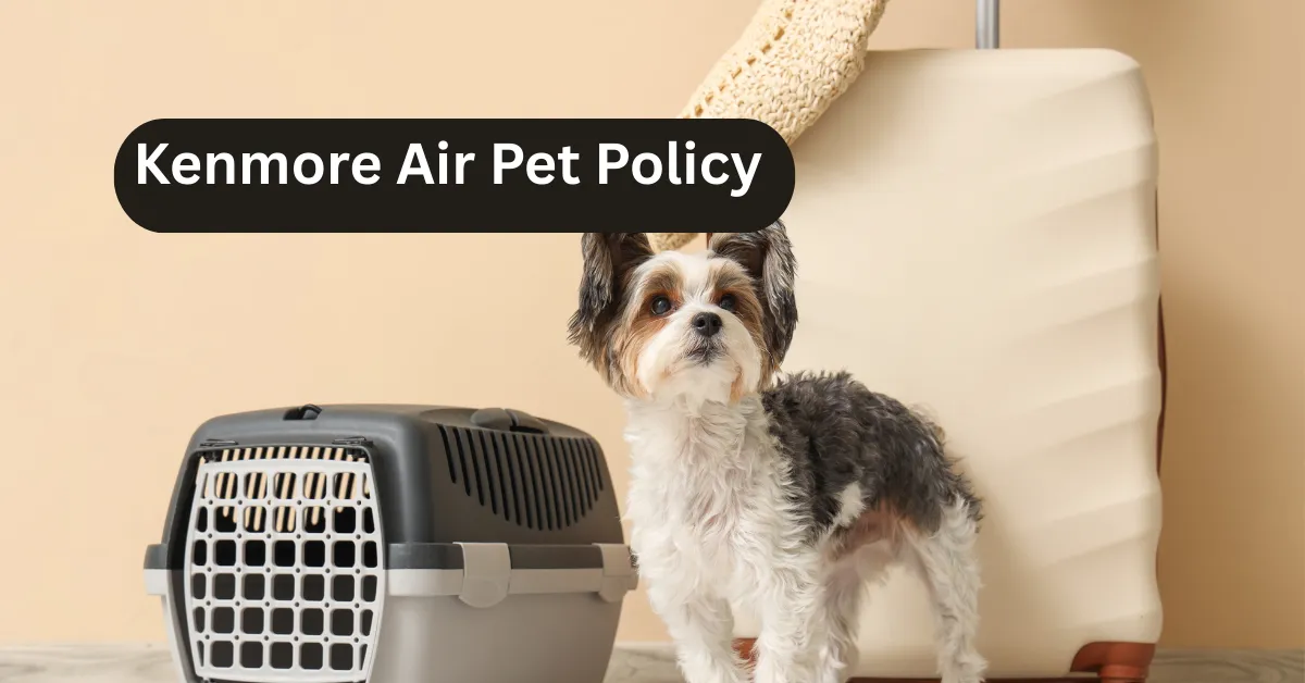 Kenmore Air Pet Policy