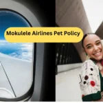 Mokulele Airlines Pet Policy