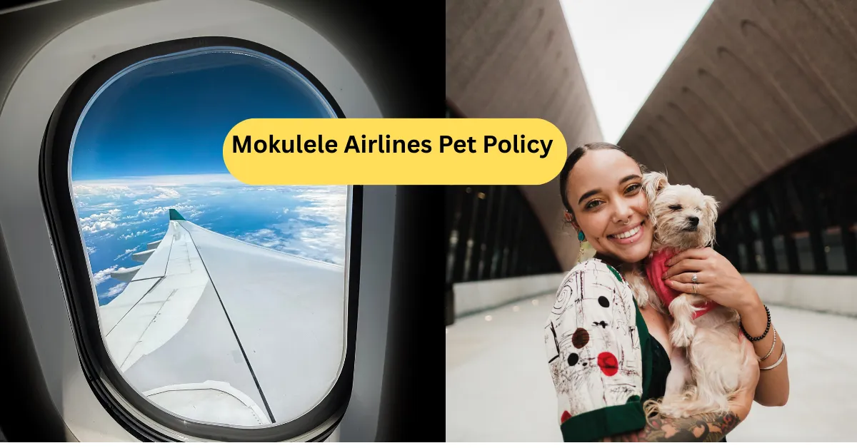 Mokulele Airlines Pet Policy