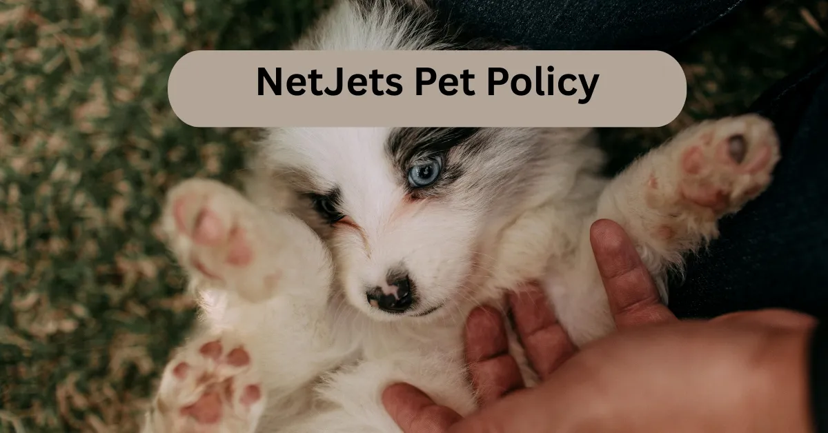 NetJets Pet Policy