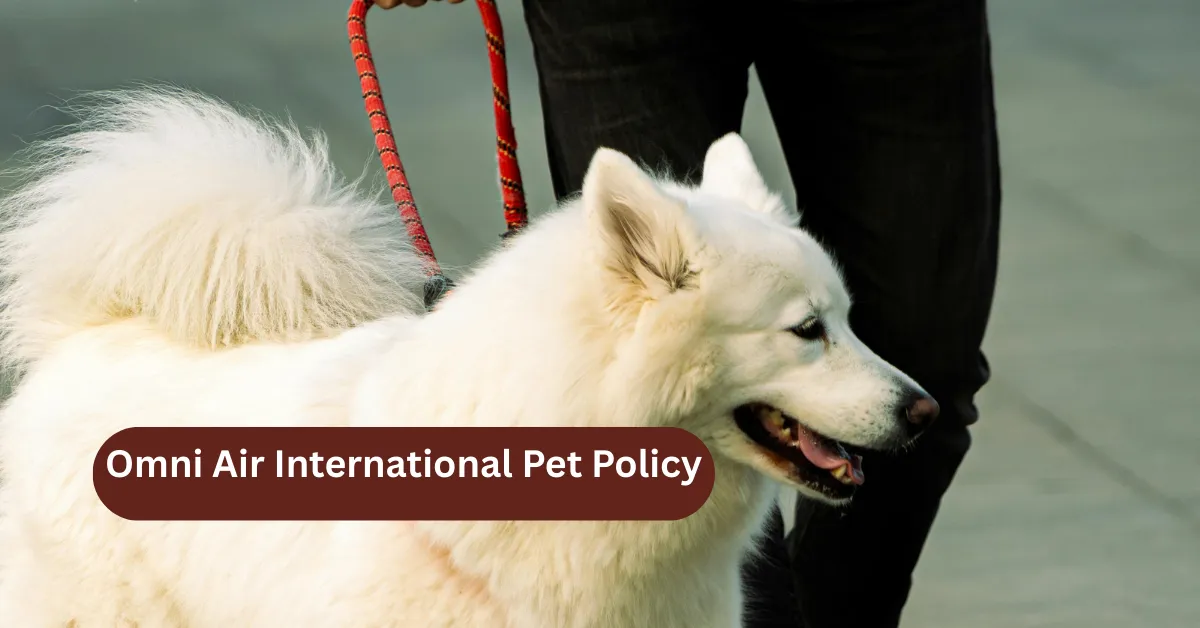 Omni Air International Pet Policy