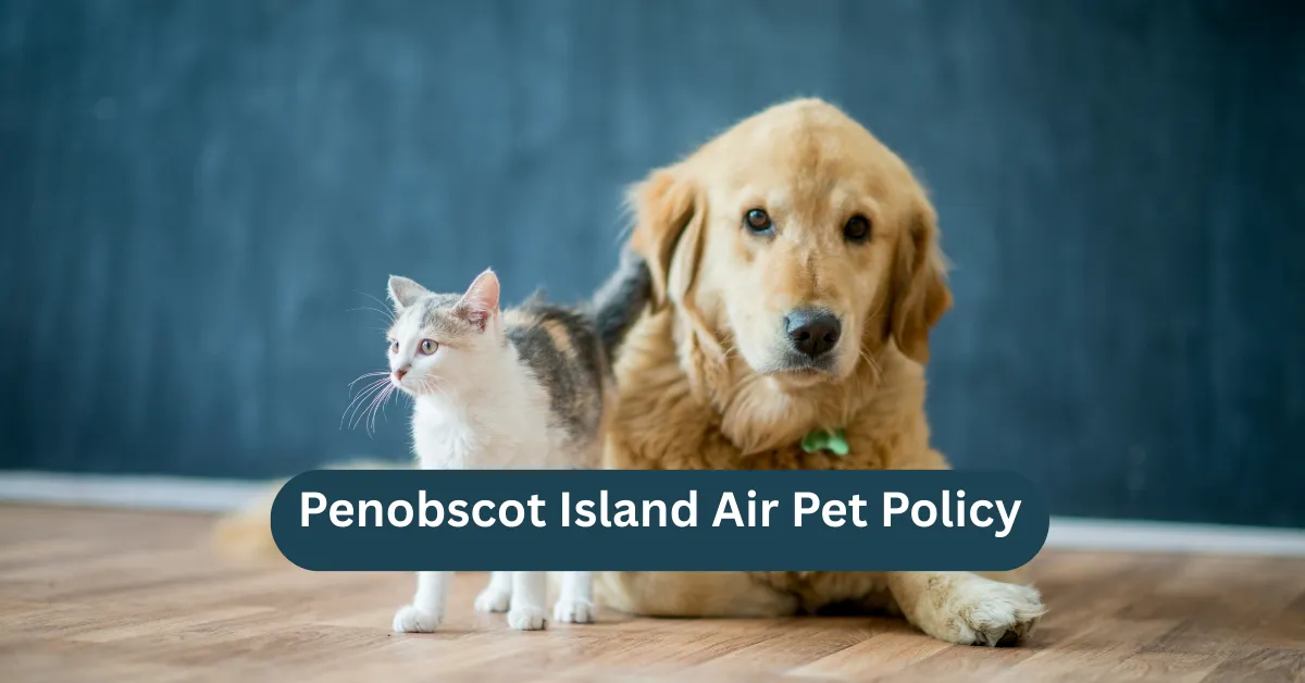 Penobscot Island Air Pet Policy