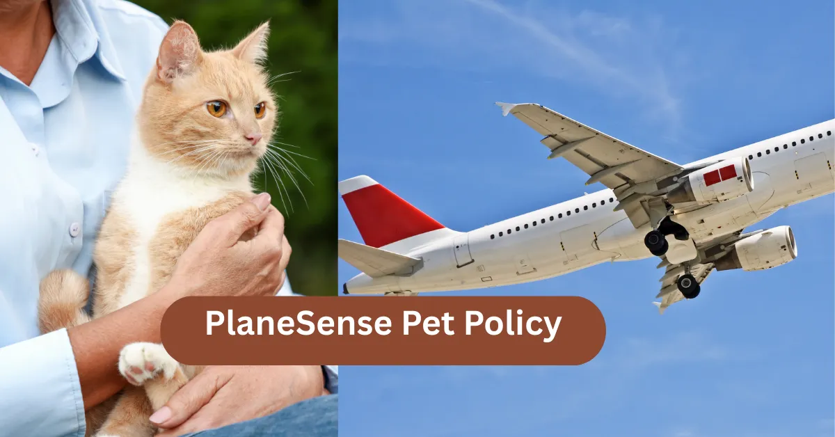PlaneSense Pet Policy