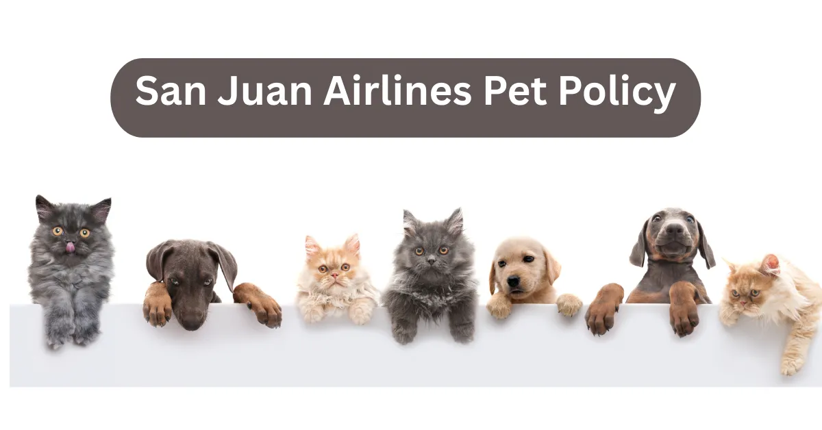 San Juan Airlines Pet Policy