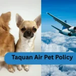 Taquan Air Pet Policy