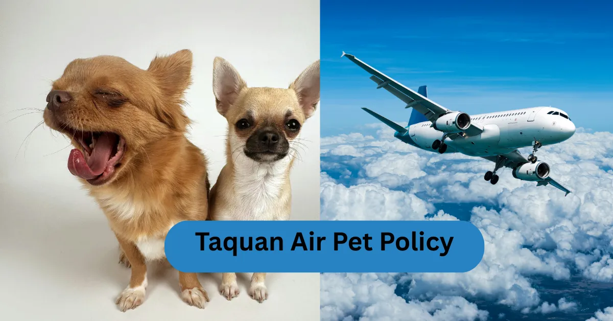Taquan Air Pet Policy — Guidelines for Flying with Pets