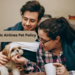 World Atlantic Airlines Pet Policy World Atlantic Airlines Pet Policy