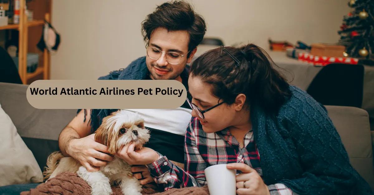 World Atlantic Airlines Pet Policy World Atlantic Airlines Pet Policy