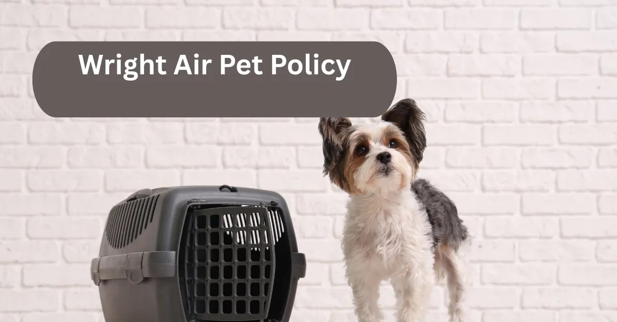 Wright Air Pet Policy: Rules and Guidelines for Traveling with Pets